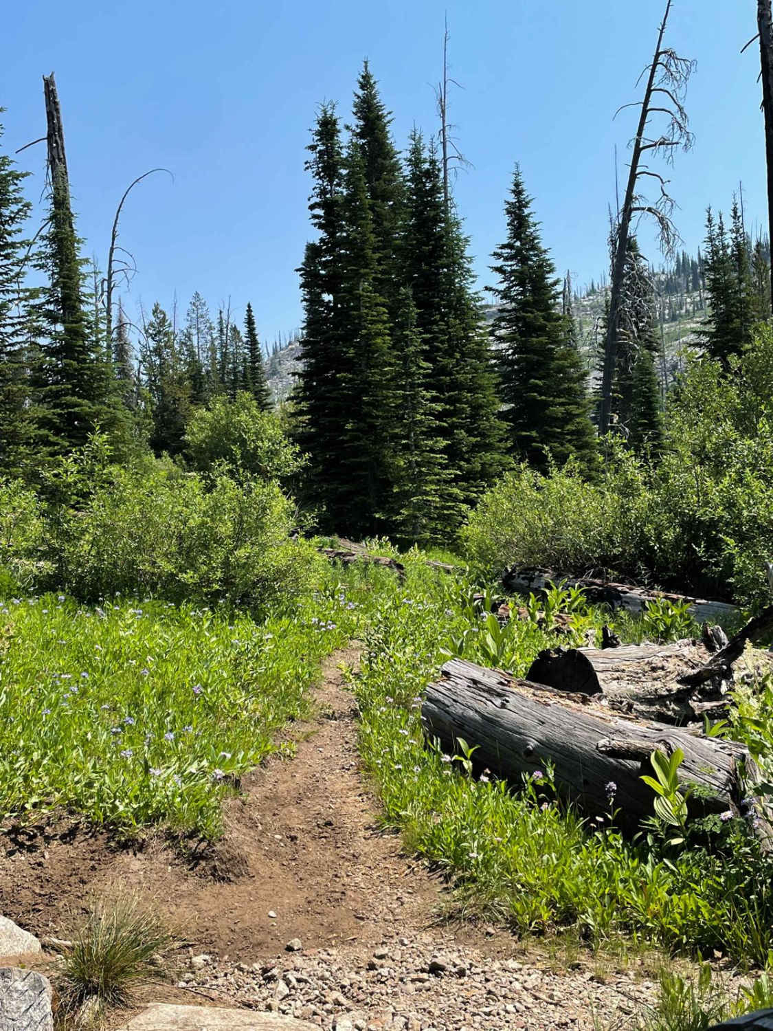 Hidden Lake Loop