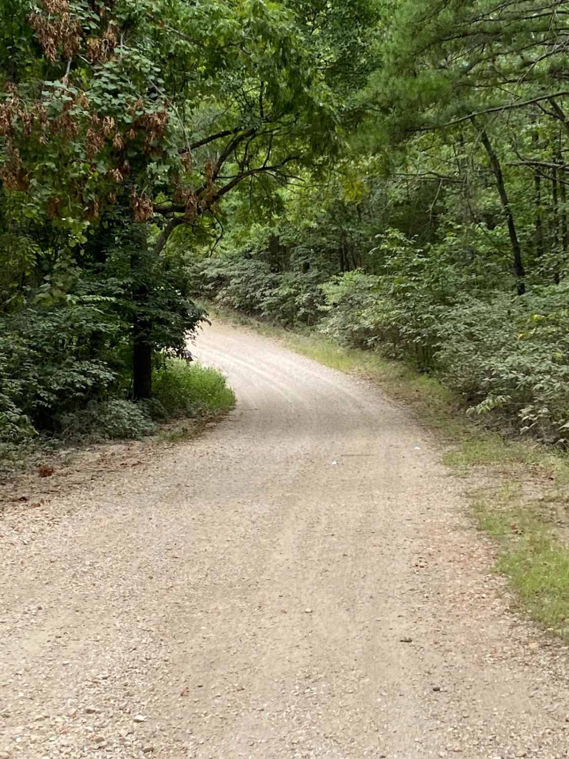Round Mountain Road