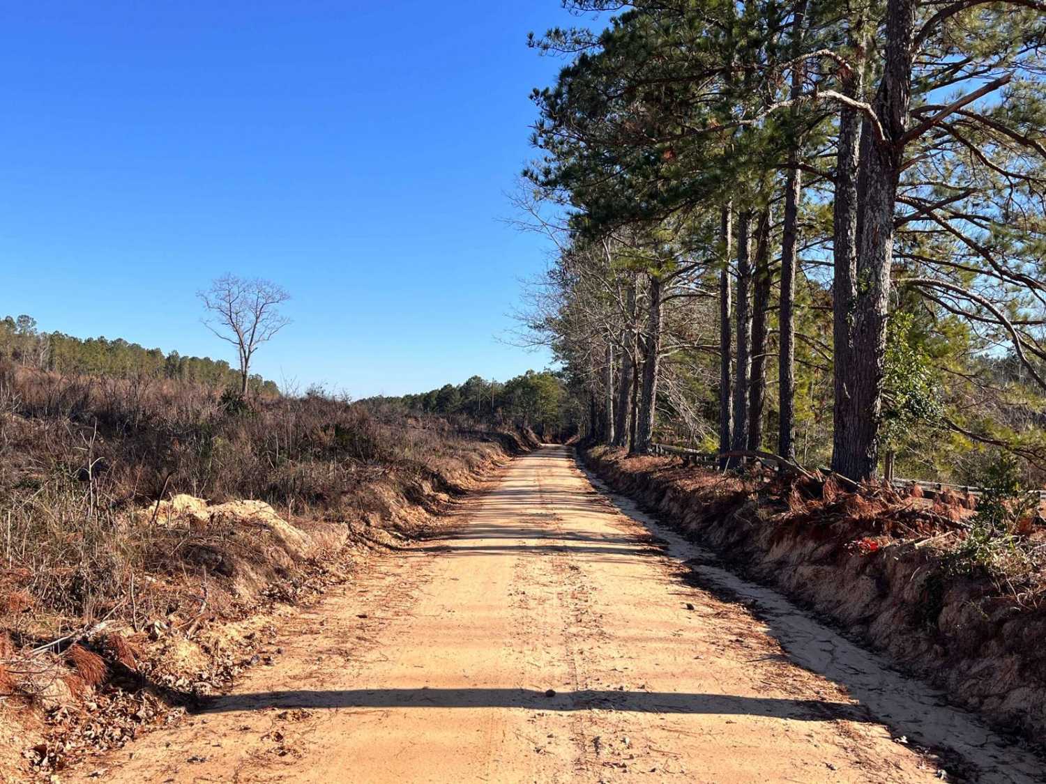 Gunter Pond Road