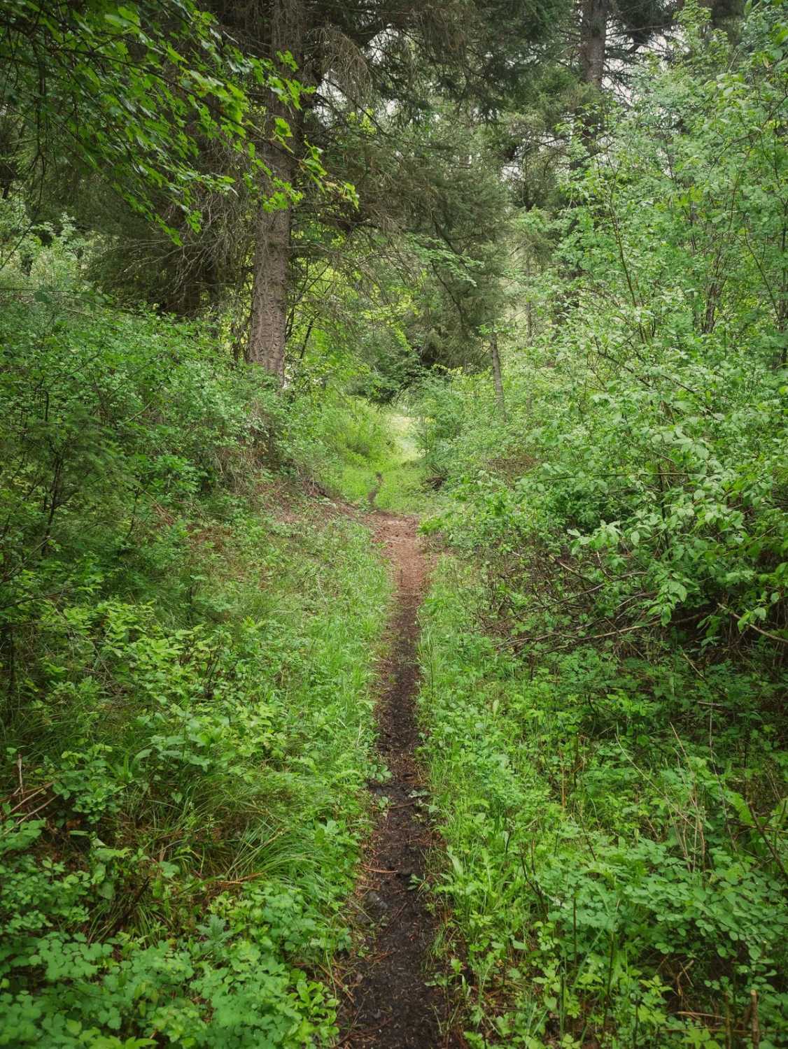 Powder Gulch 