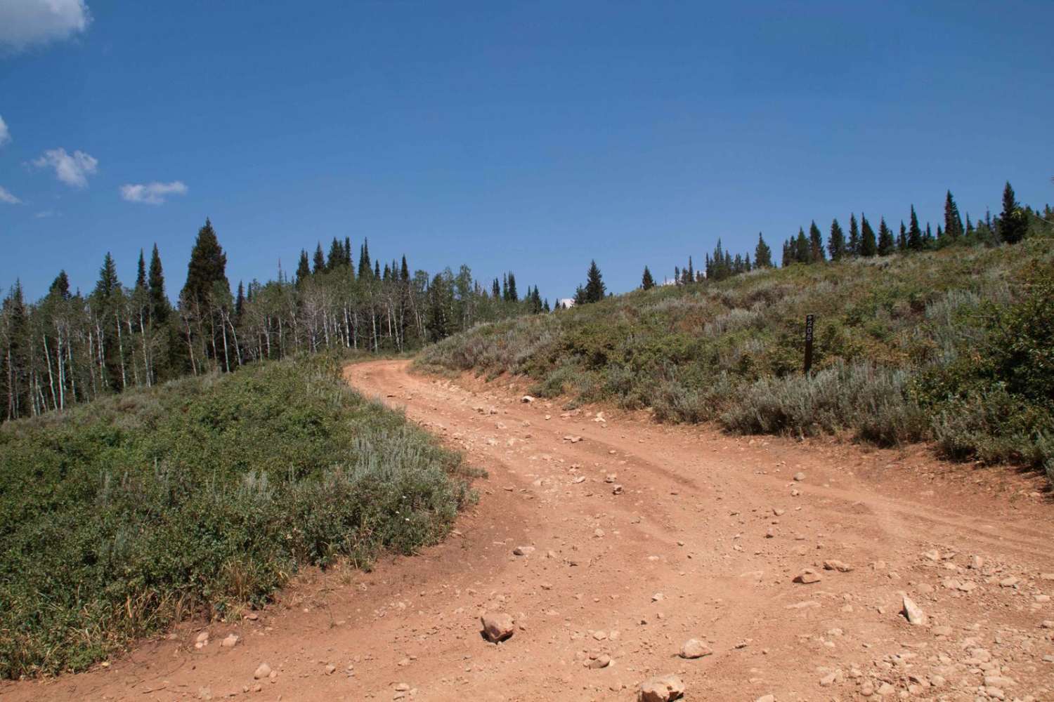 Red Spur
