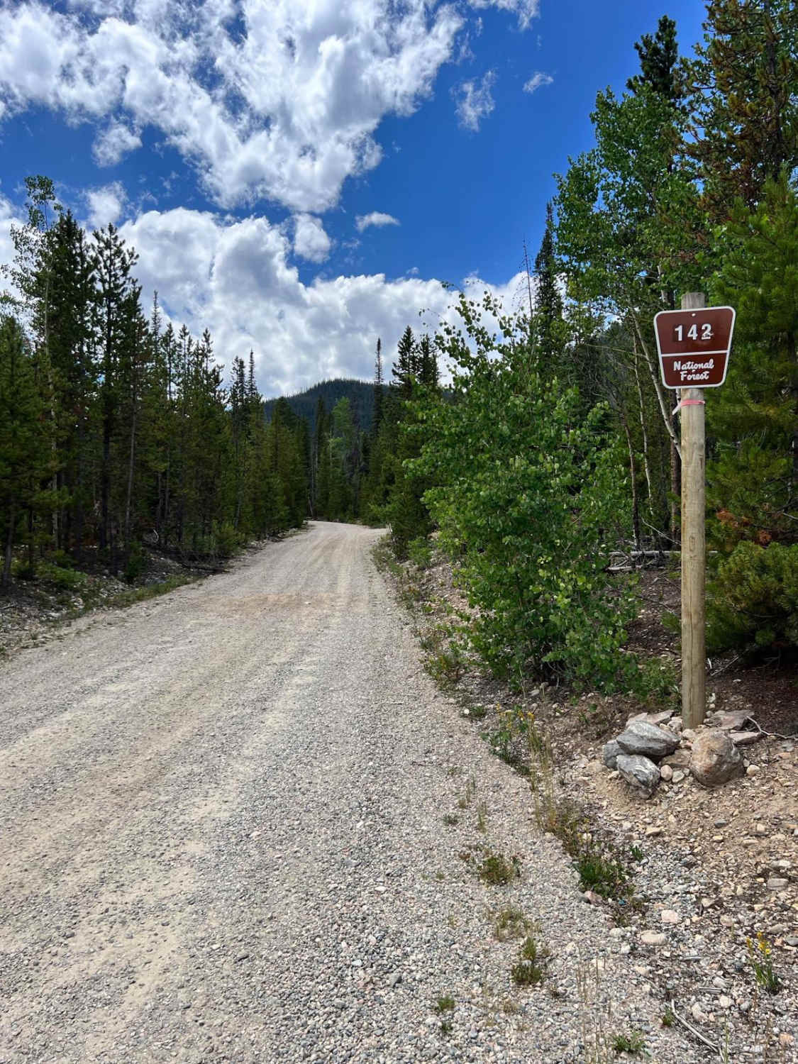 South Fork Road - FS 142.1