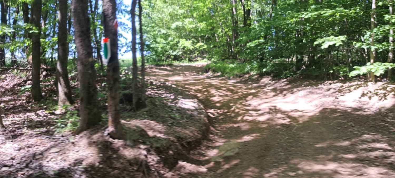 Up Hill Mud Bog