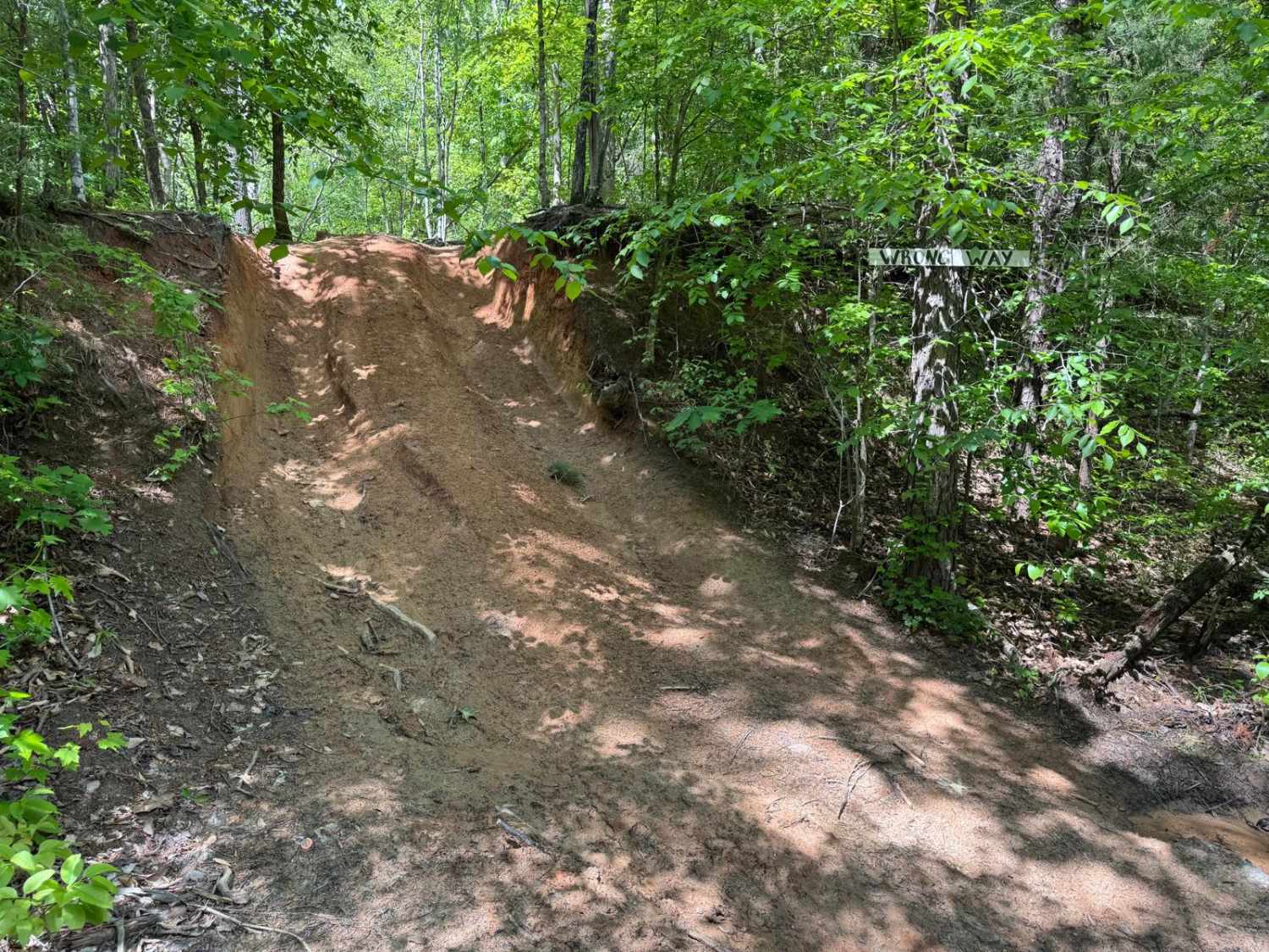 That Dam Trail
