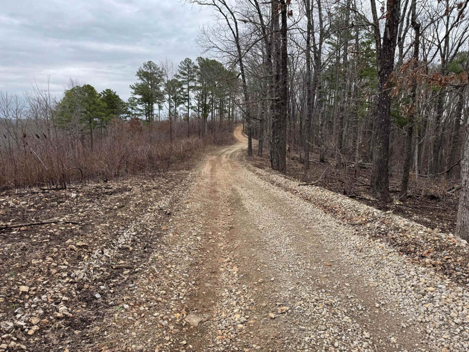 Wildcat Road