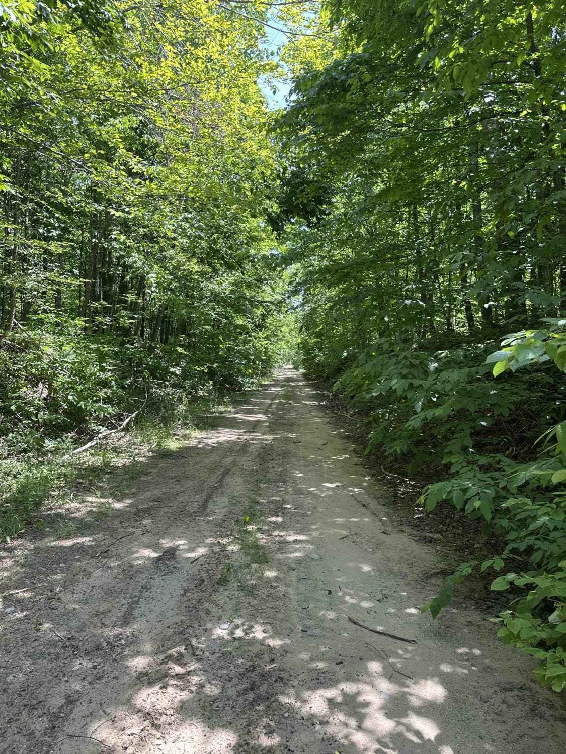 Berry Creek
