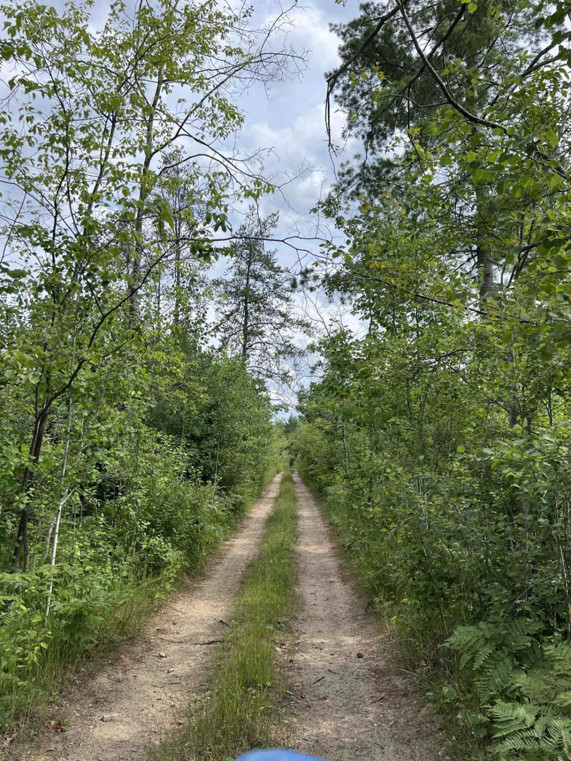 Pots Lake Trail