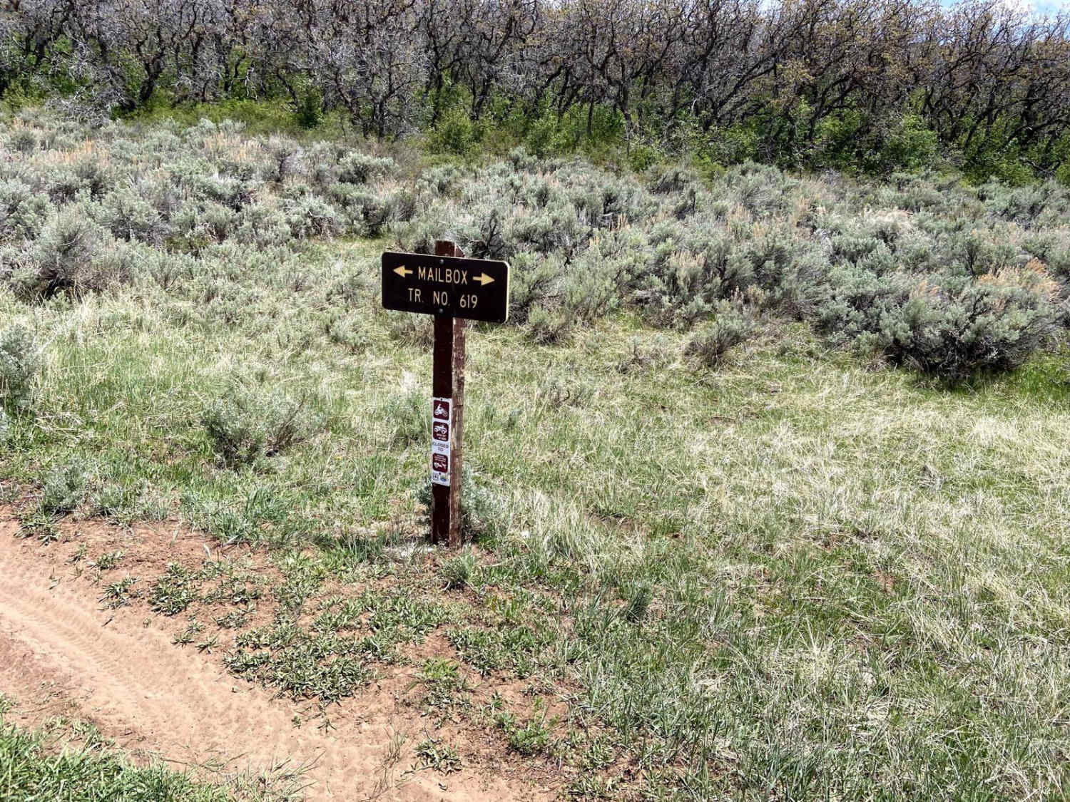 Mailbox Trail