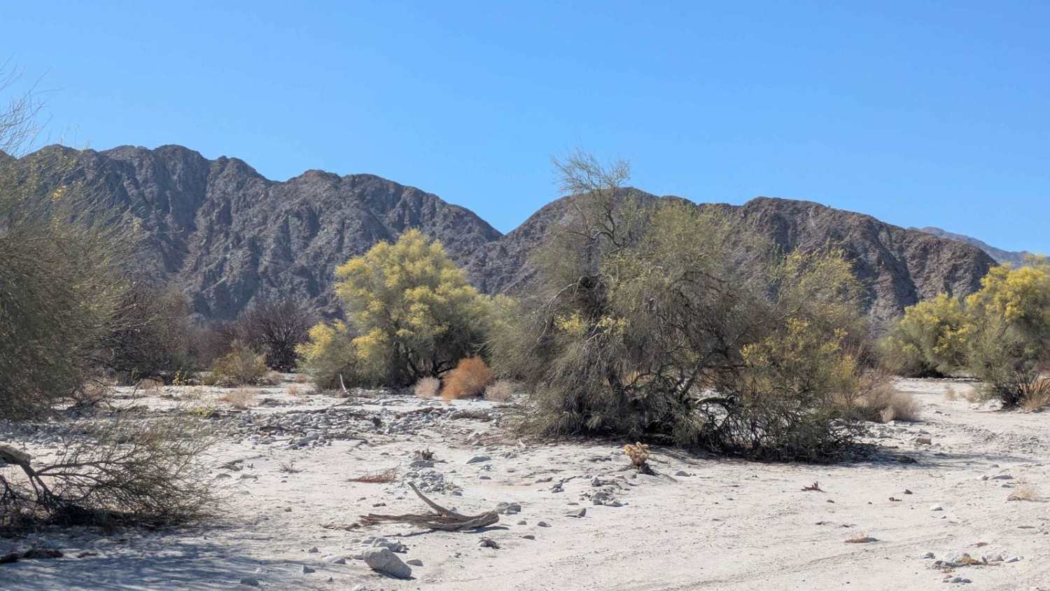 Corre a las Montanas