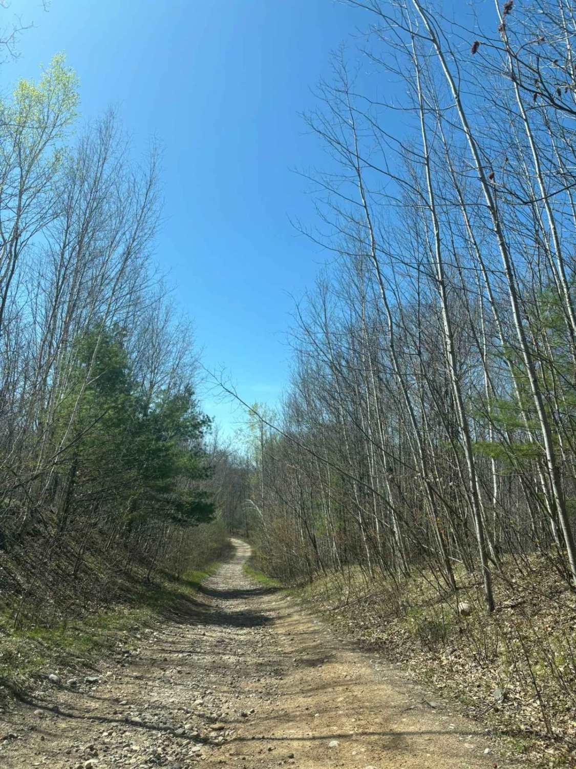 Forest Road 2249