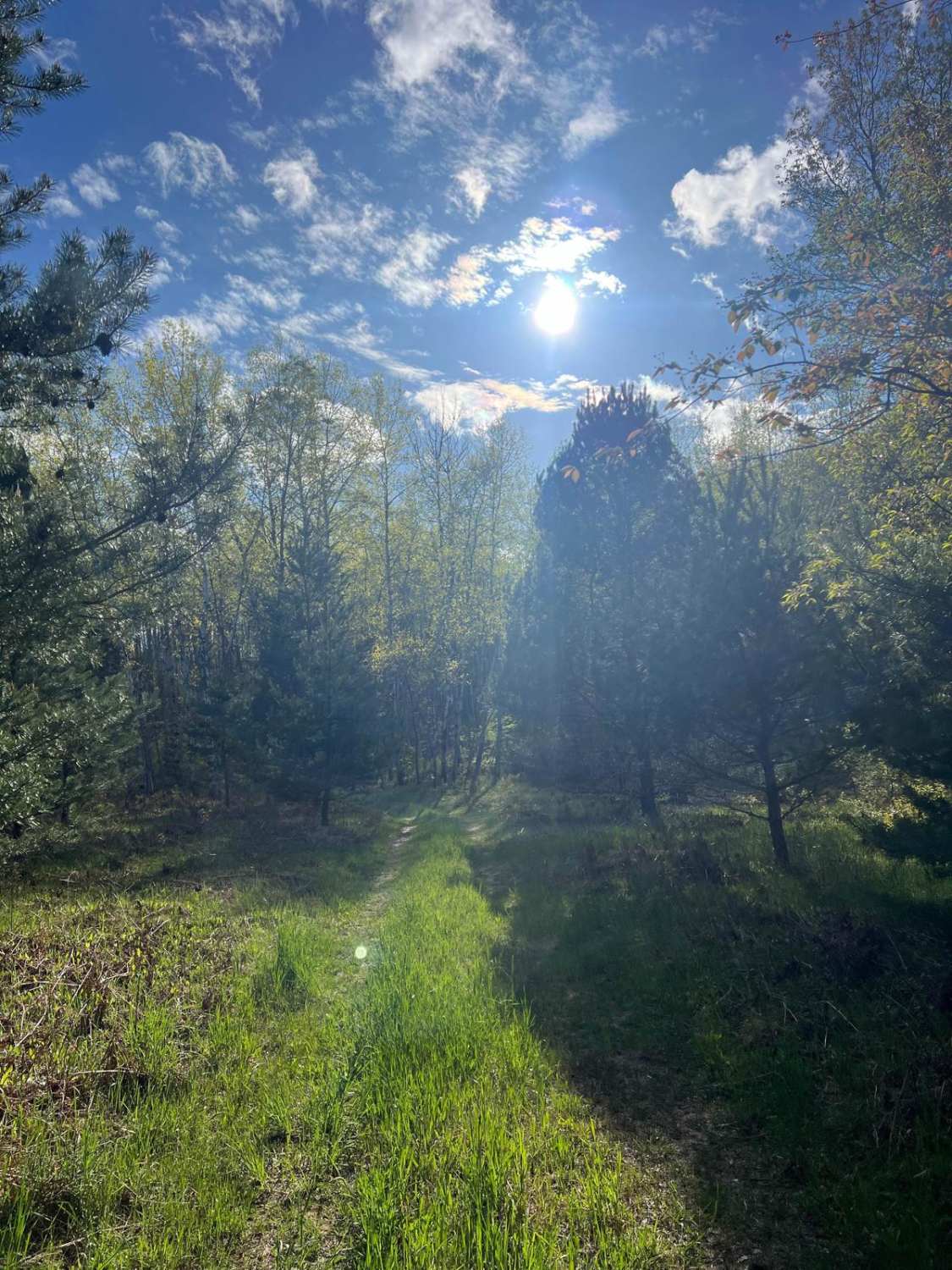 NBT Connector Trail