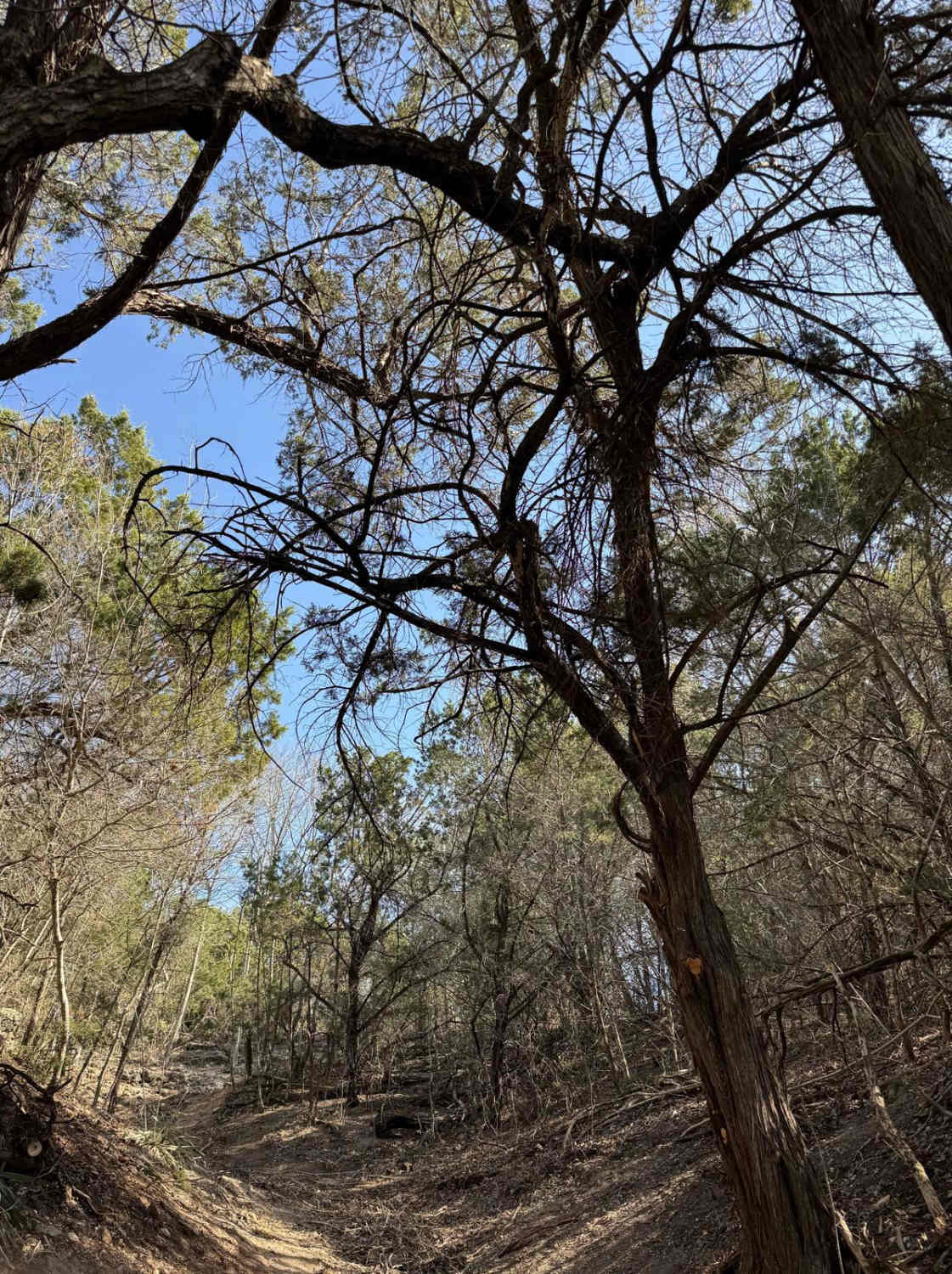 Outlaw Gulch