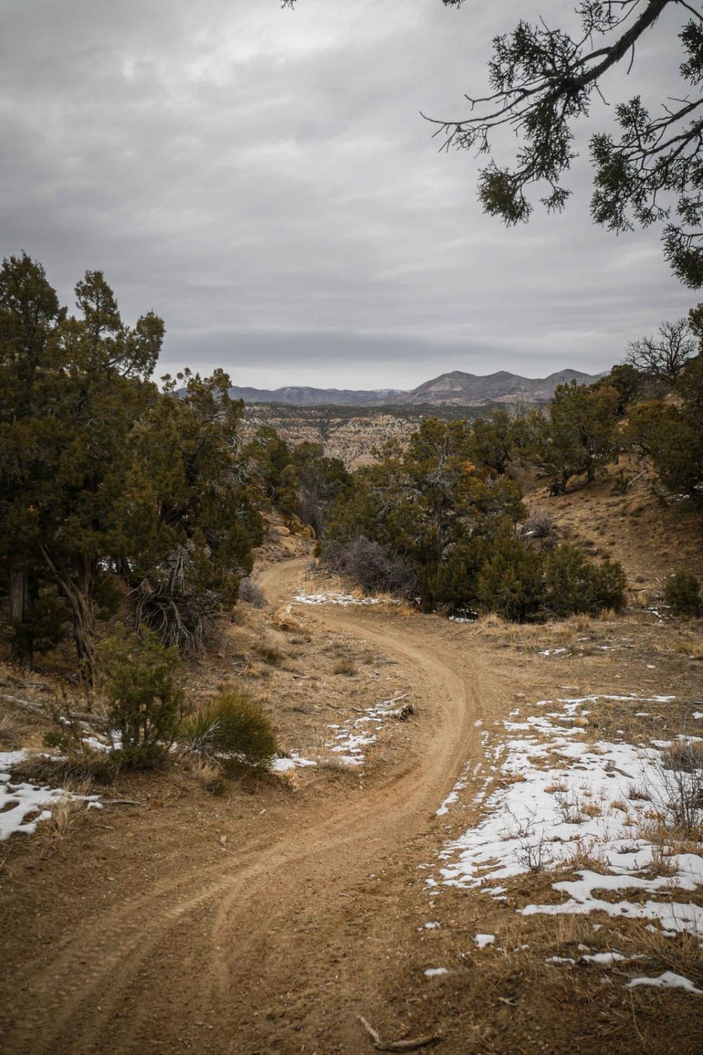 Sarlacc Trail