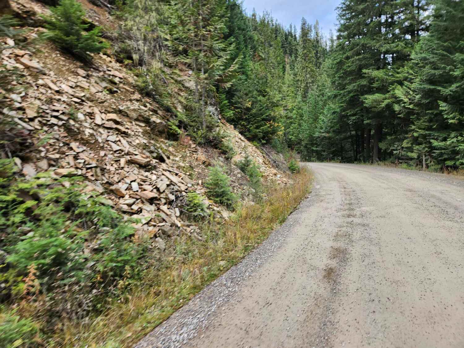 Fishhook-Gold Center