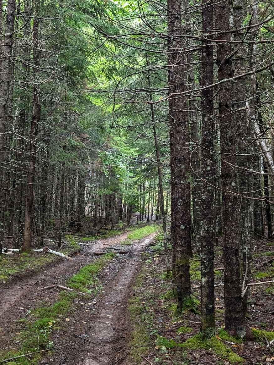 Ryder Lake Passage