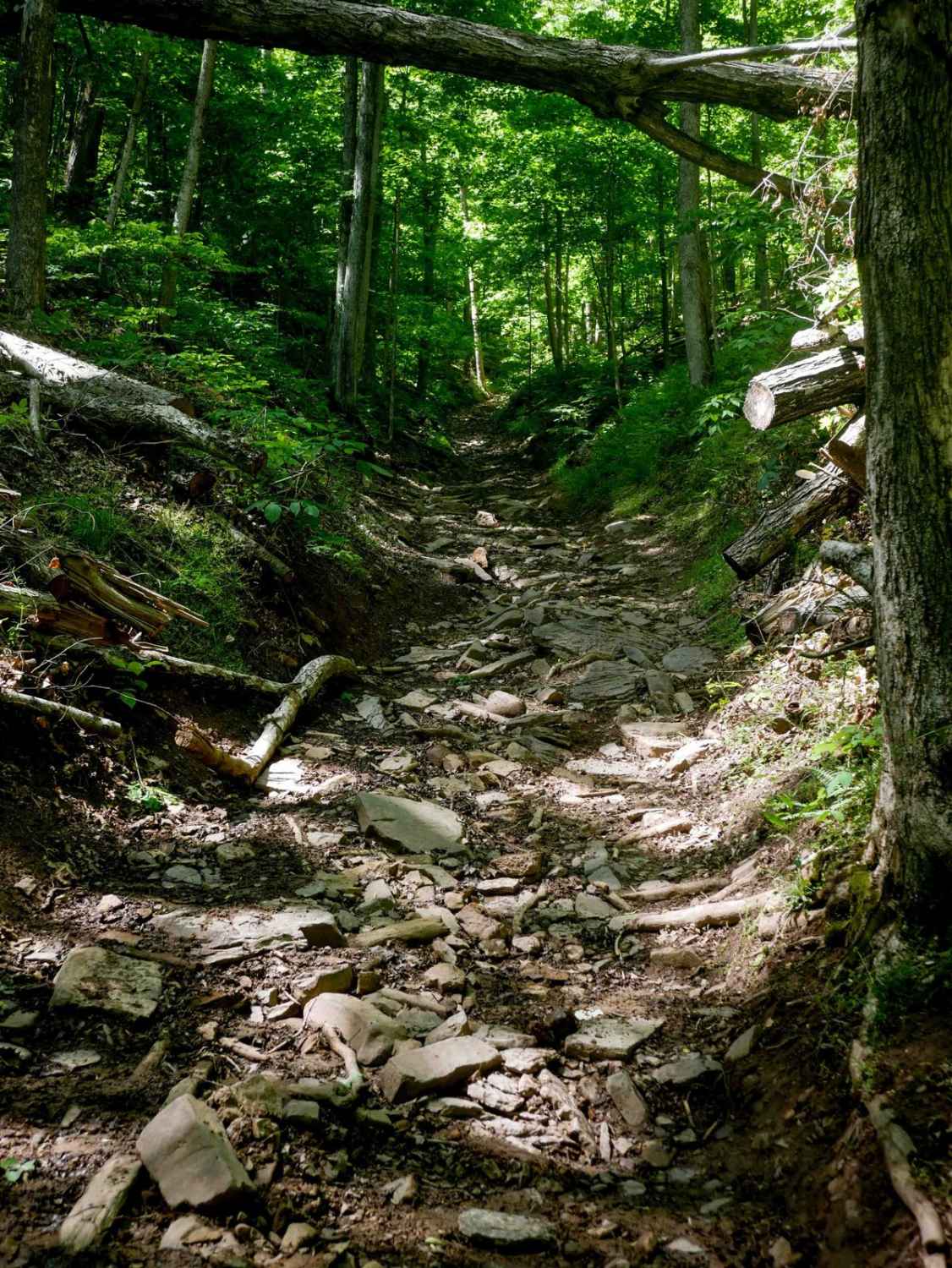 Trail 28 Razor Ridge