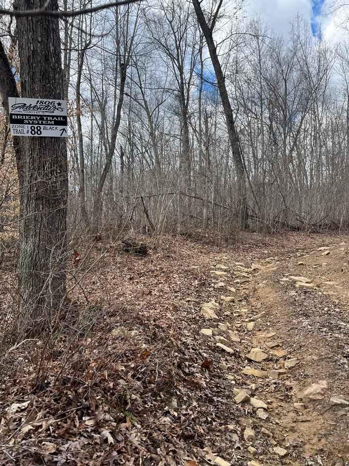 Trail 88