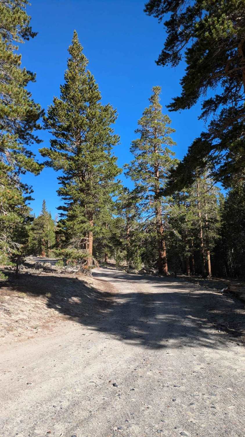 Sawmill Meadows Road