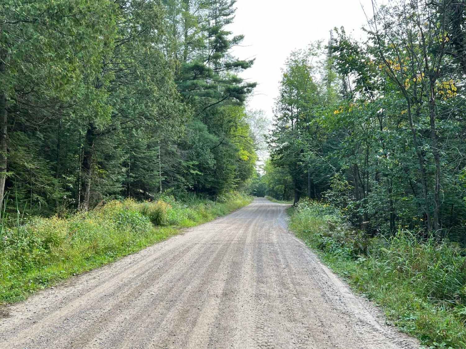 Goodman Park Road - FS 2136