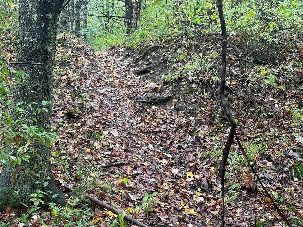 172 Single Track