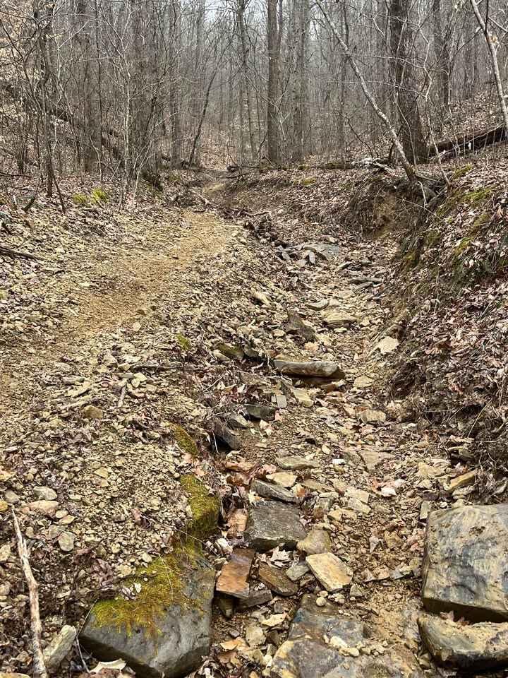 Trail 85