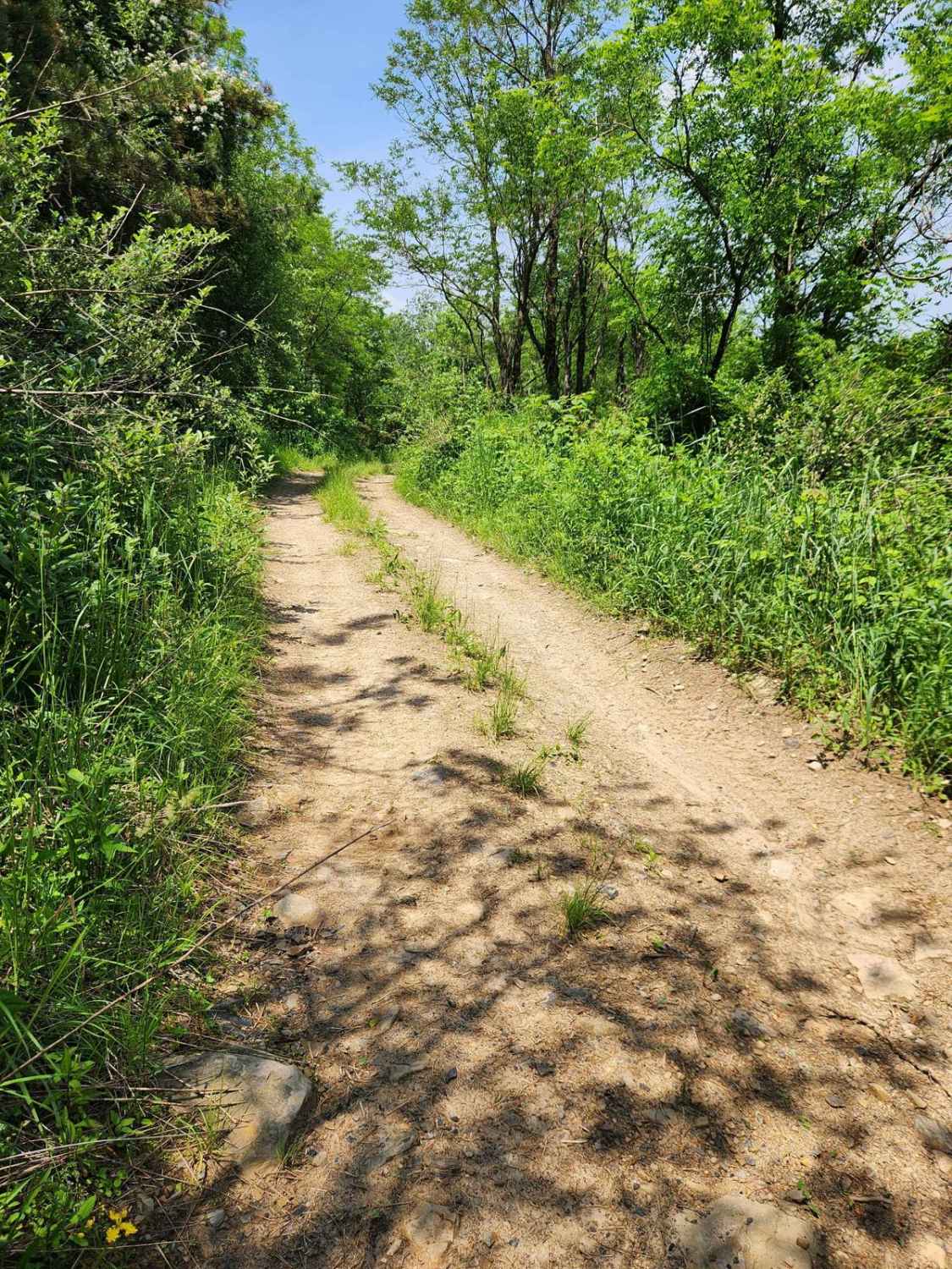 Trail 11J - Rock Run Recreation Area