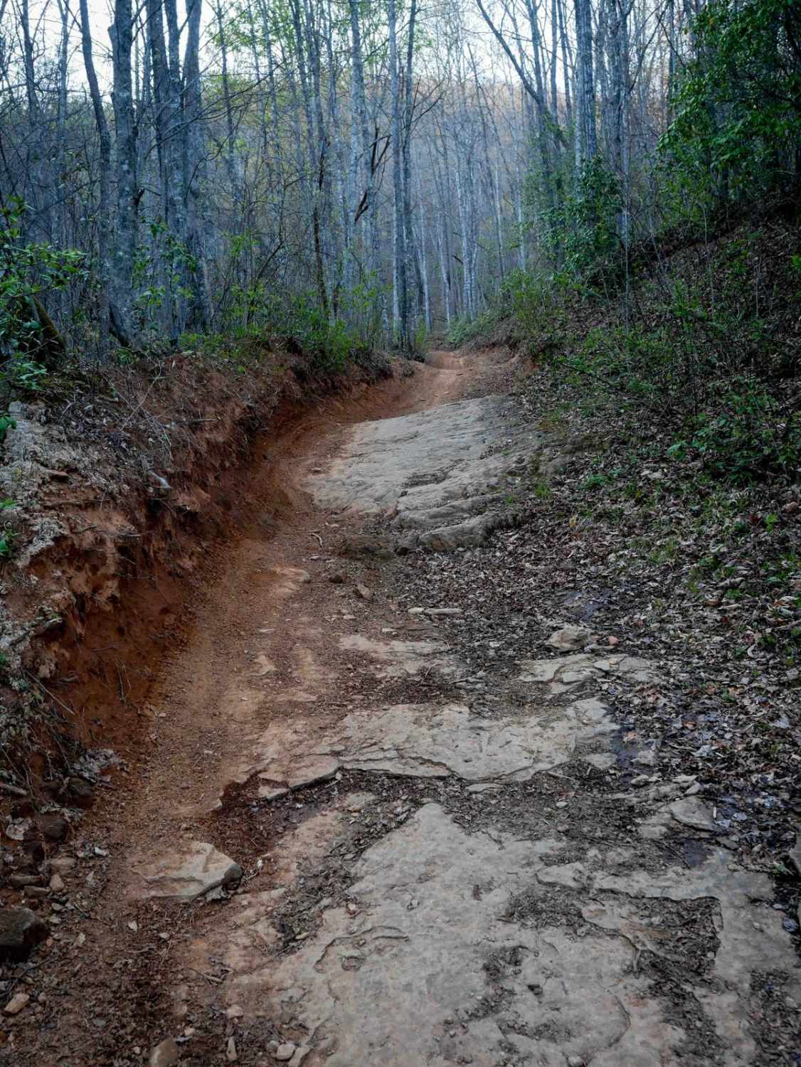 Buck Knob Trail 11