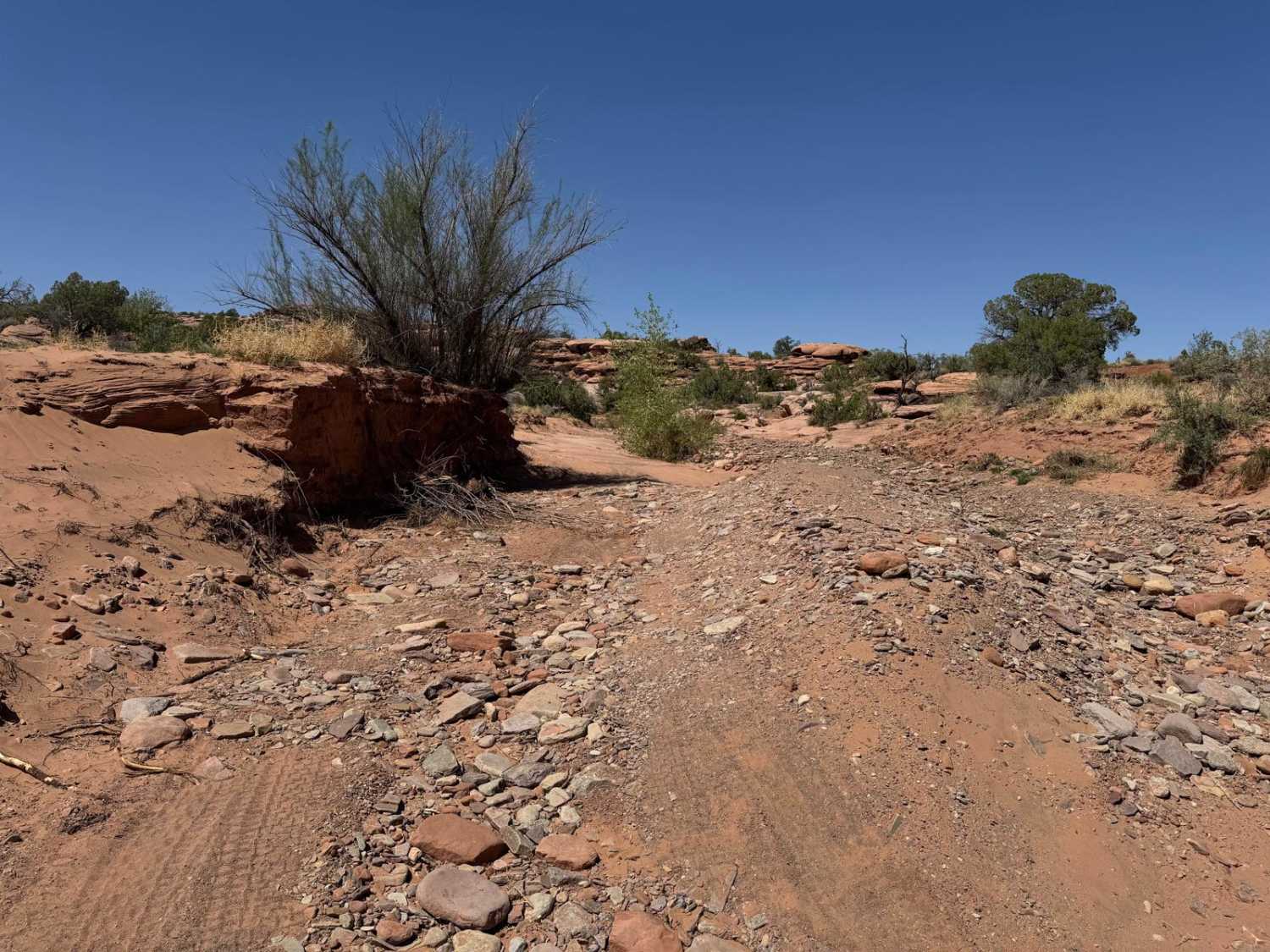 Dry Fork Bull Canyon