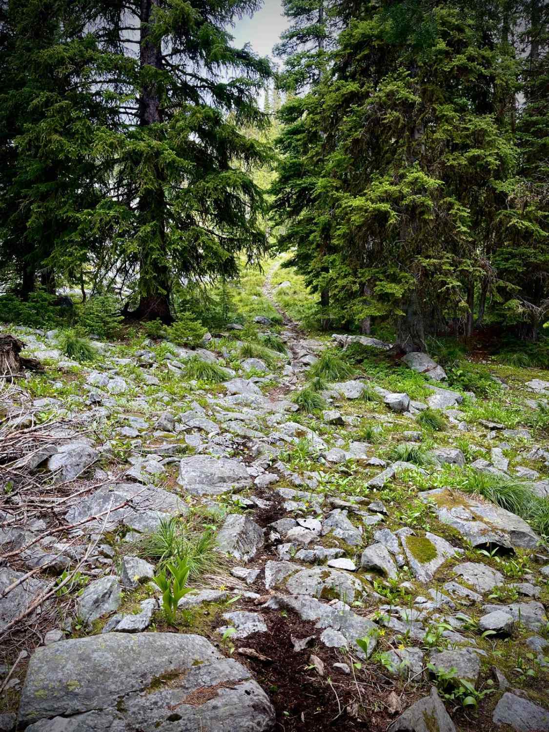 Divide NRT (Ditch Creek to Twin Creek Ridge)