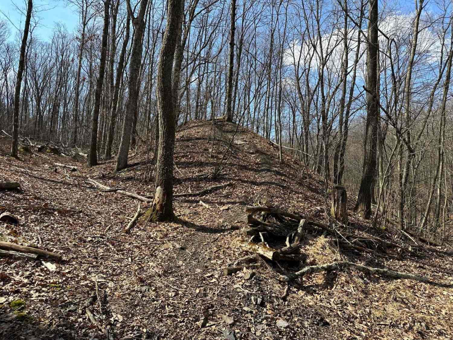 Locust Gap single track Add On B