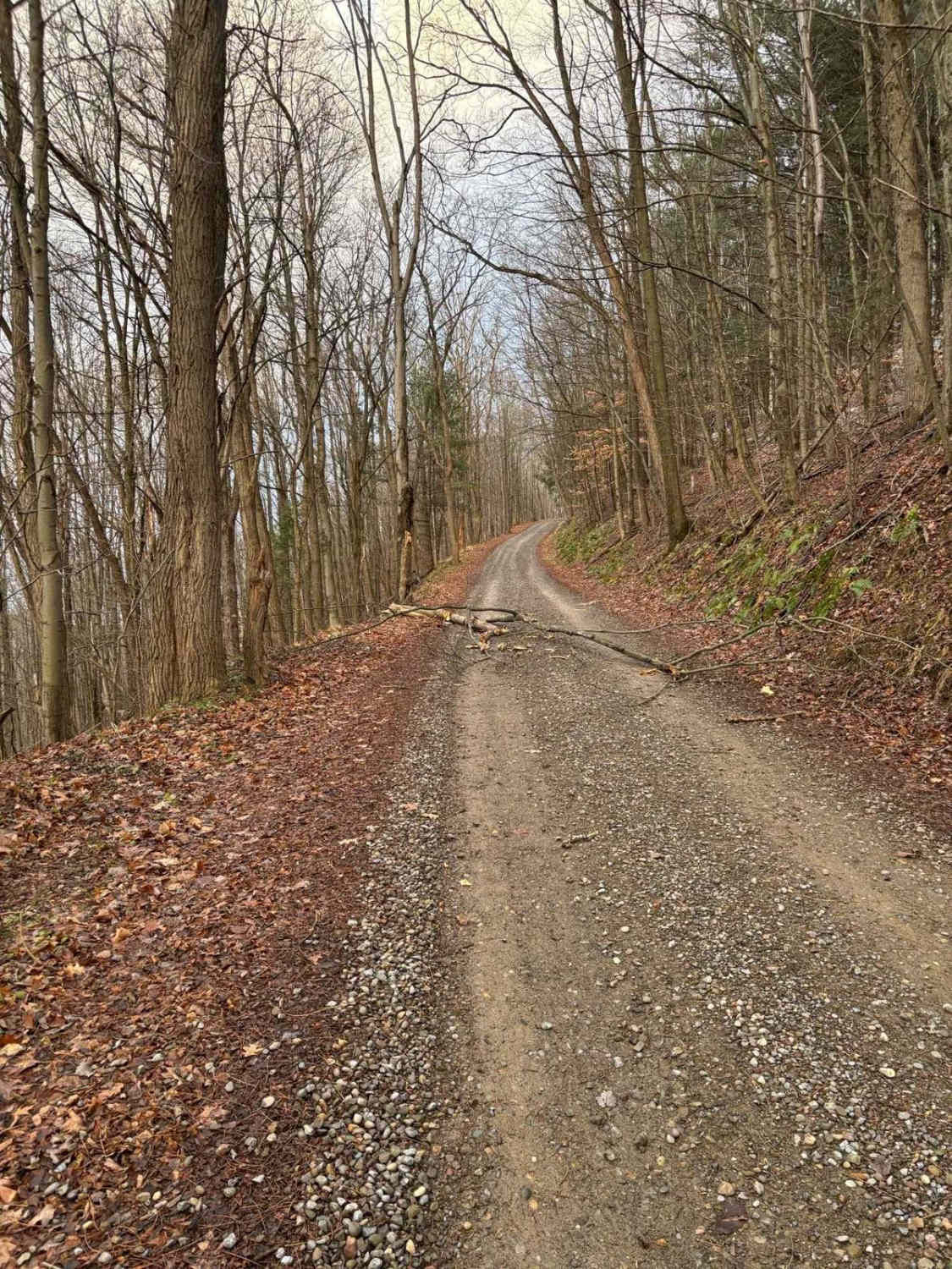 Hopkins Road