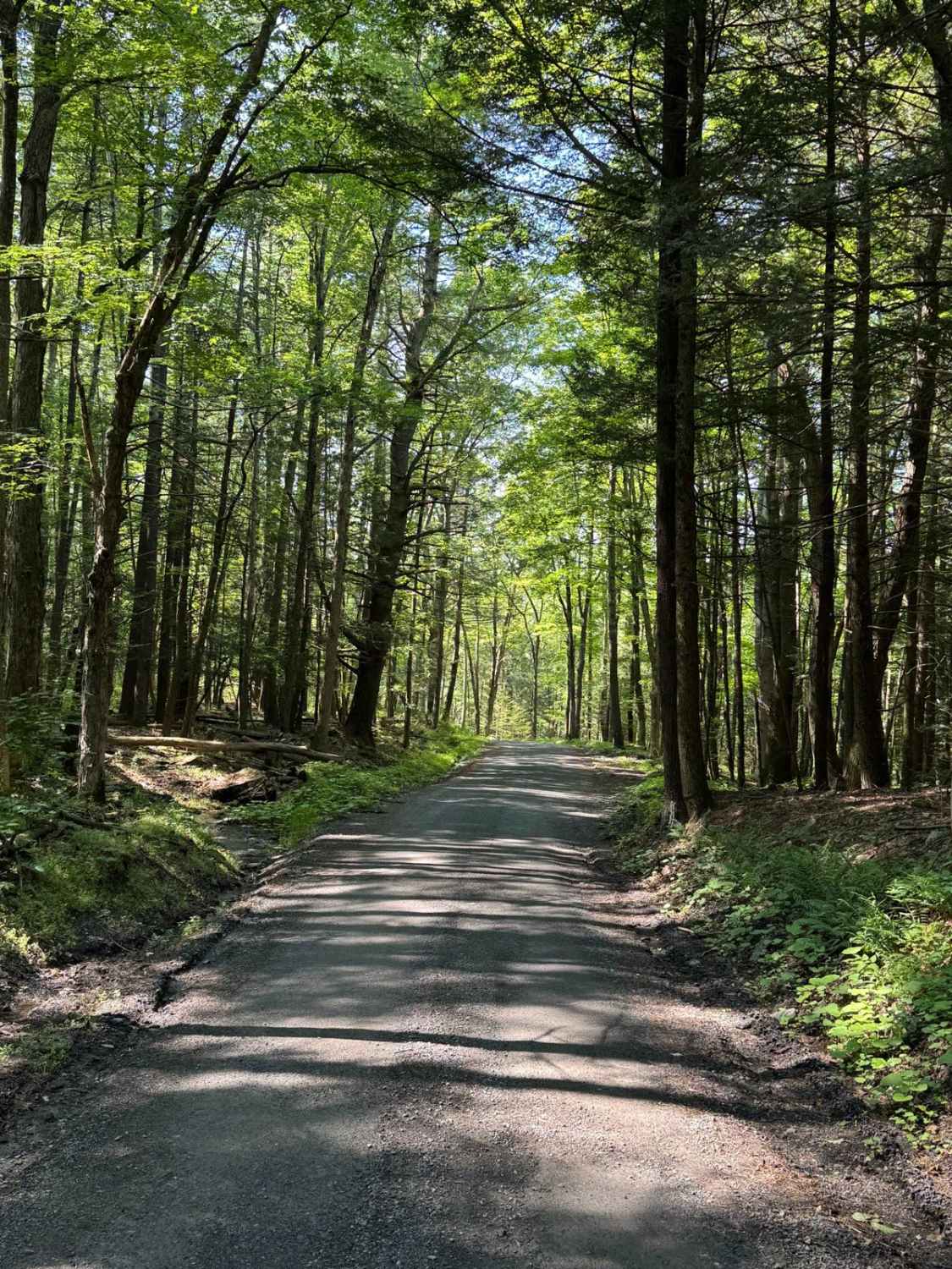 Lundy Road