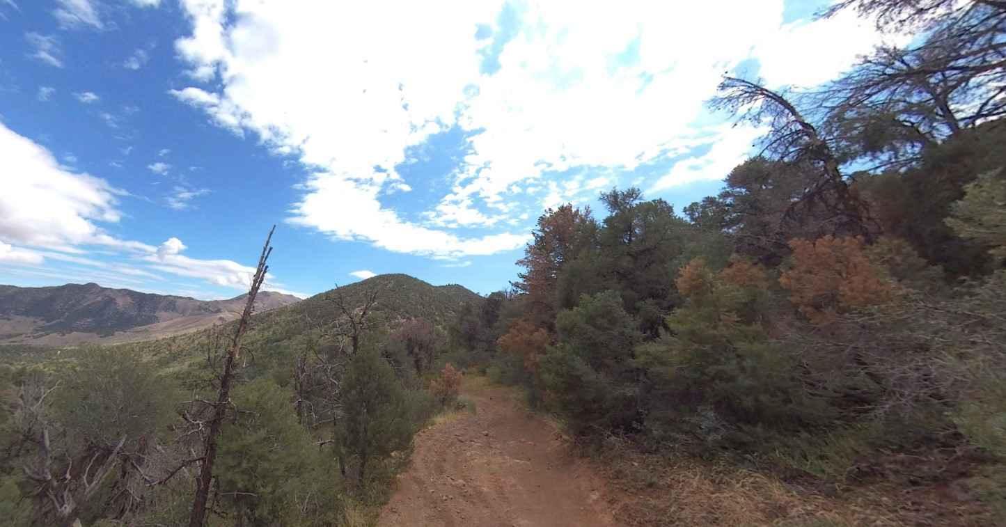 Broad Canyon Road - UCB823