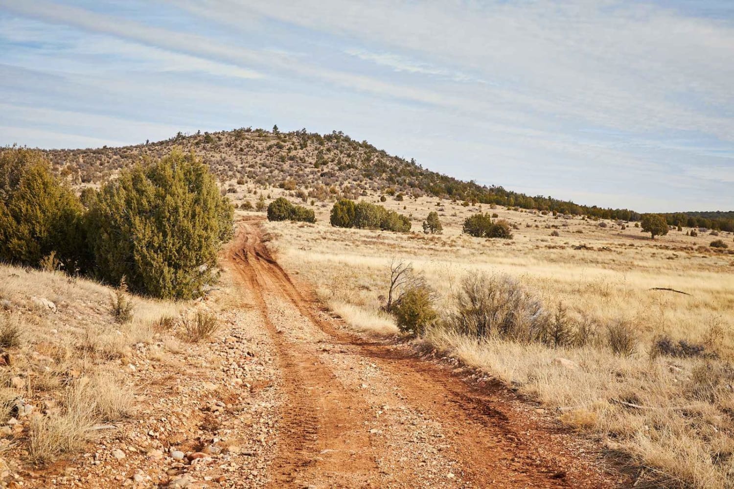 Dirt Fence Bypass