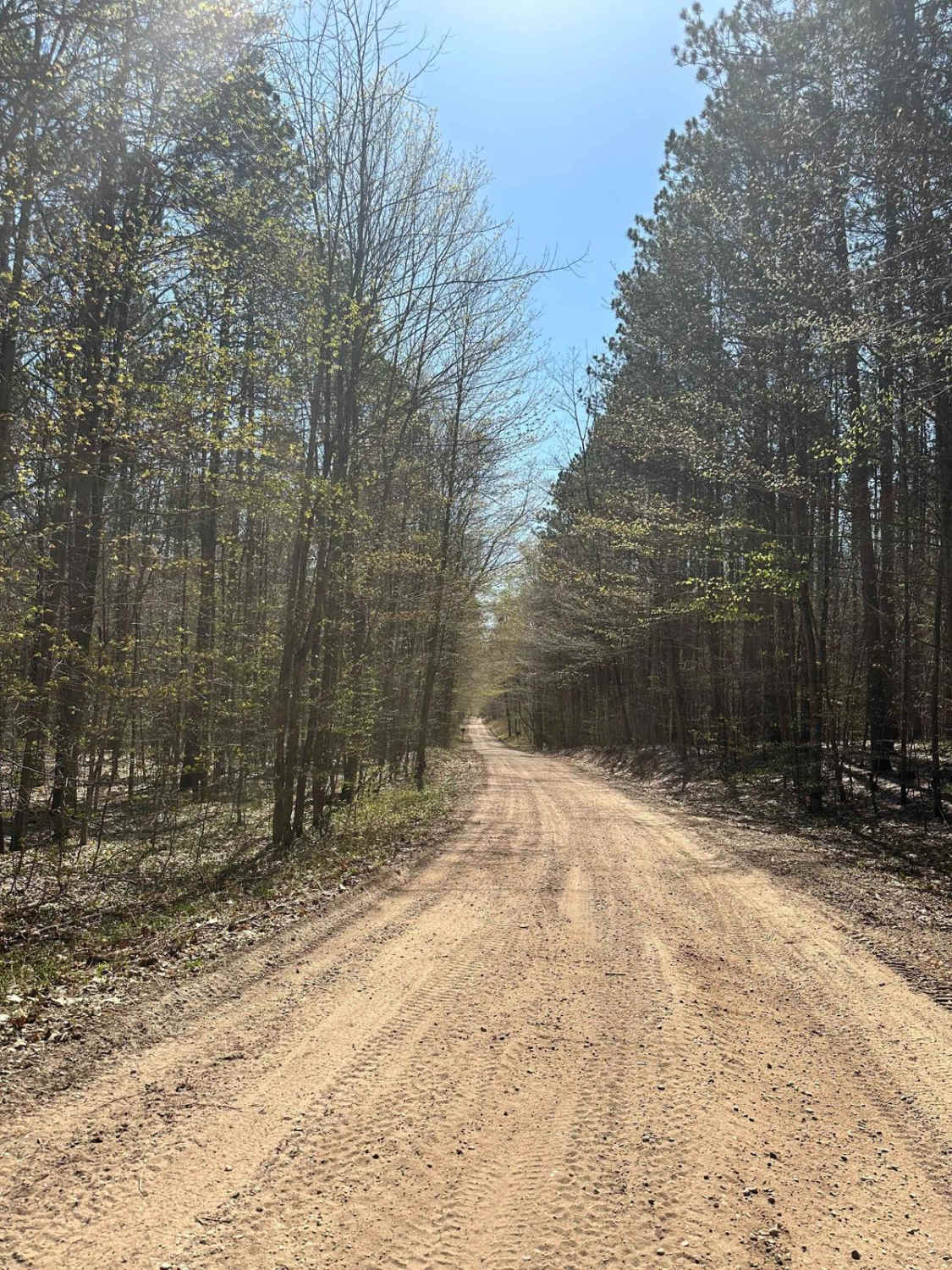 Cadillac Area ORV/OHV Scenic Ride - Part 14