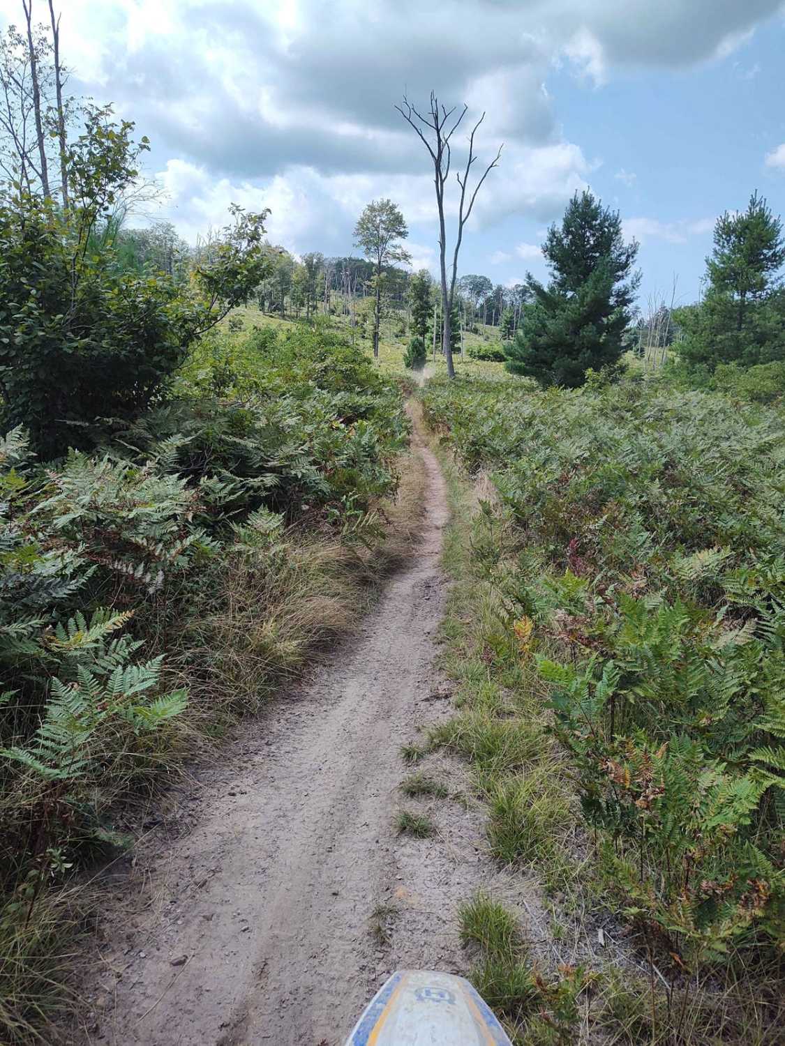 Tower Trail - Single Track