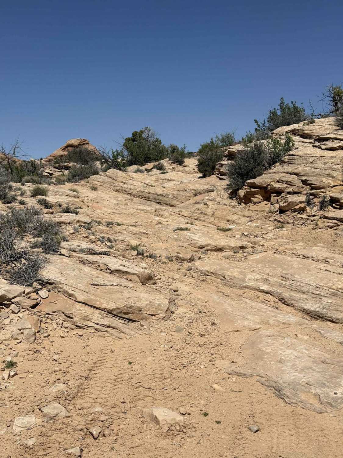 East Horseshoe Canyon