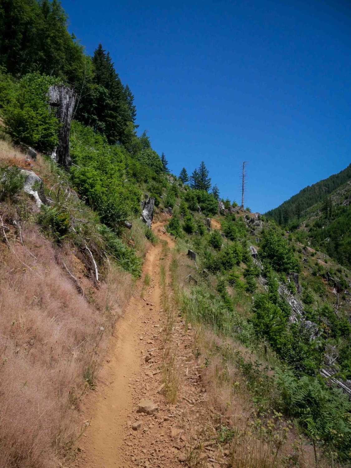 Jordan Creek #84 (Part 3)