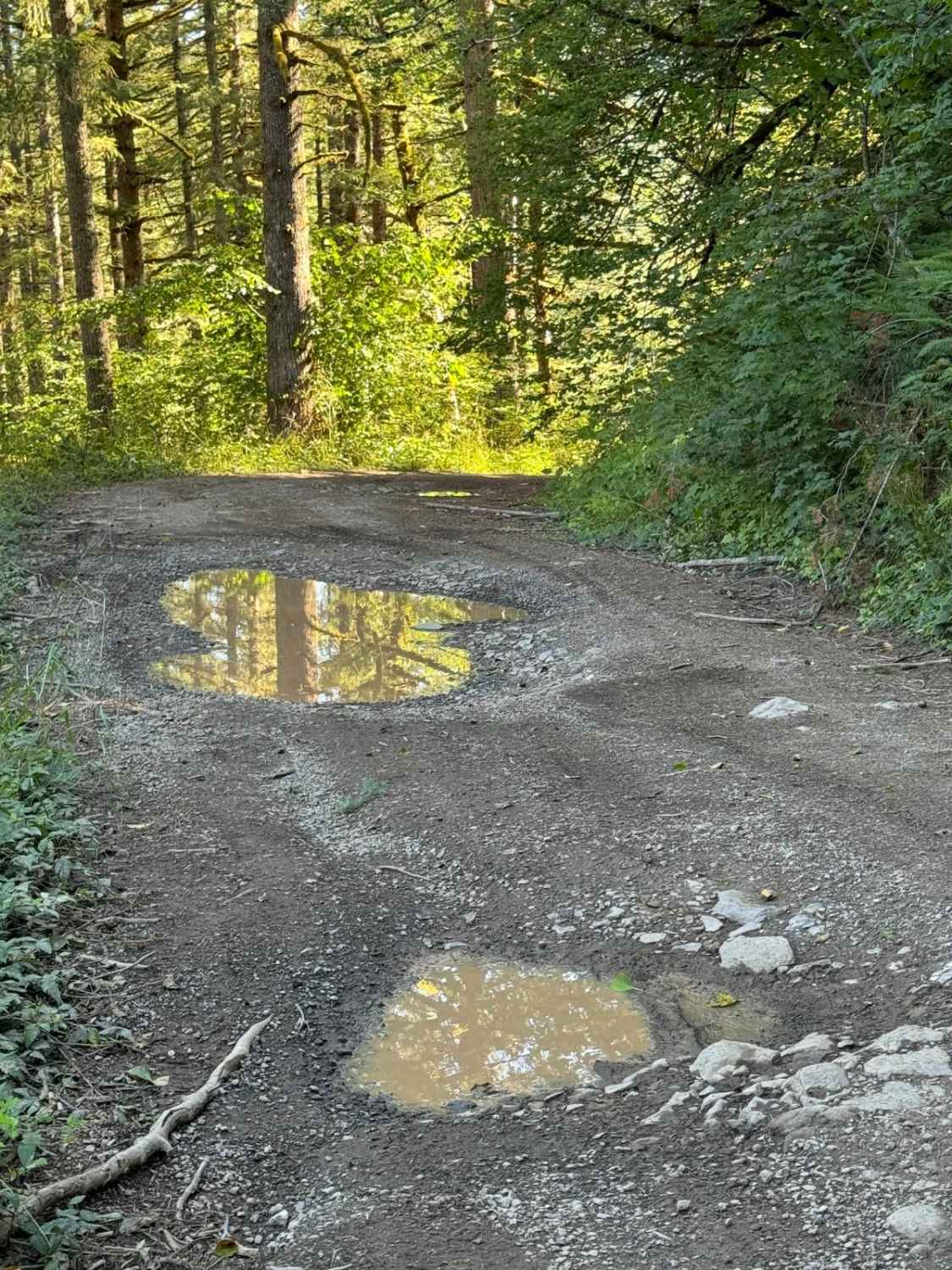 Poison Gulch Run