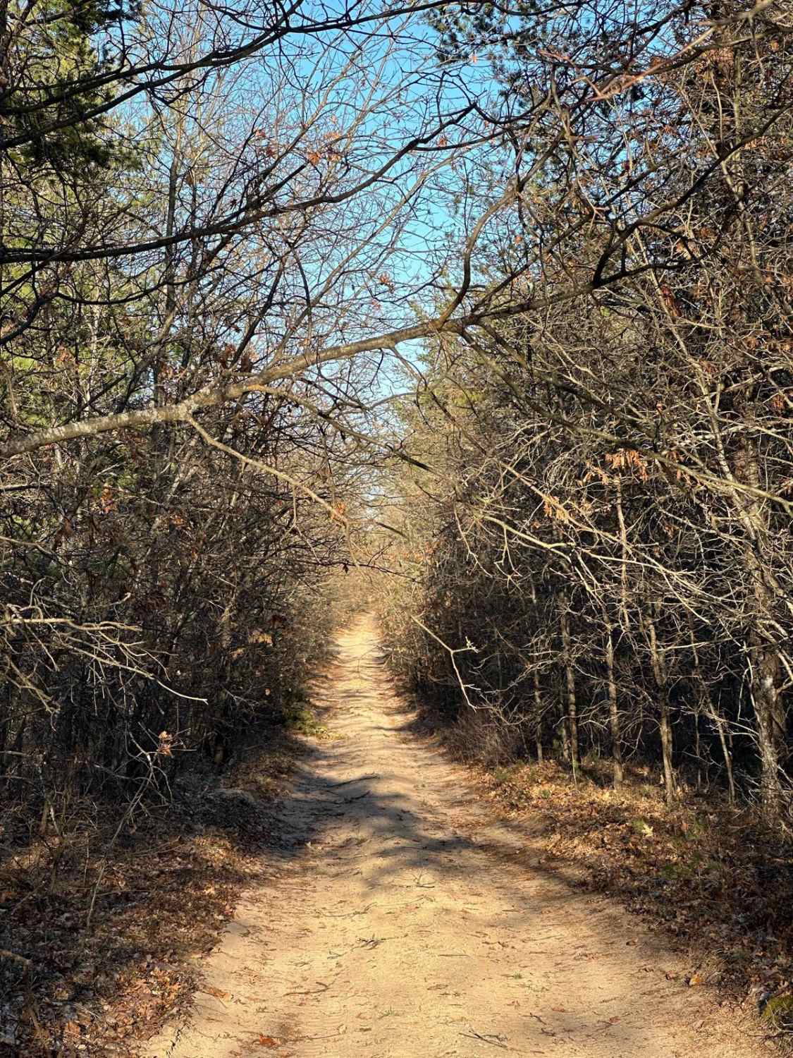 Fawn Road