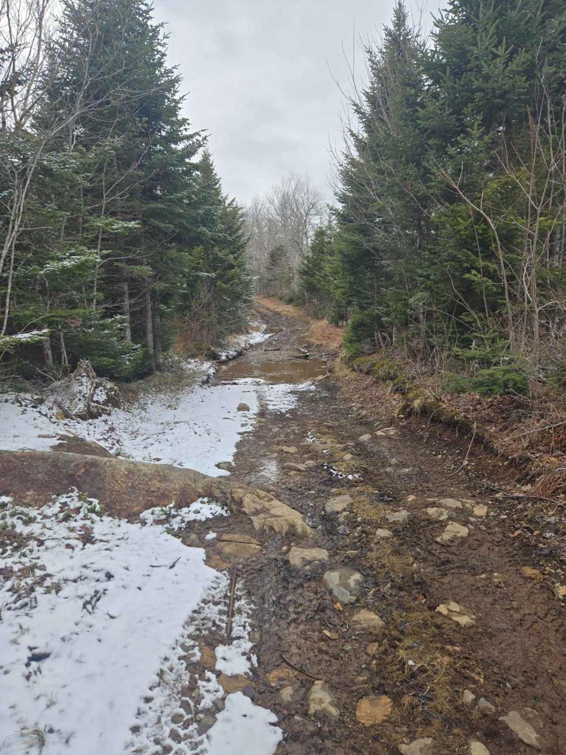 Grist Mill Road - 104