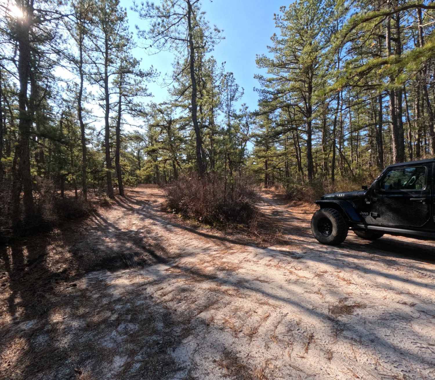 Mines Spung Road