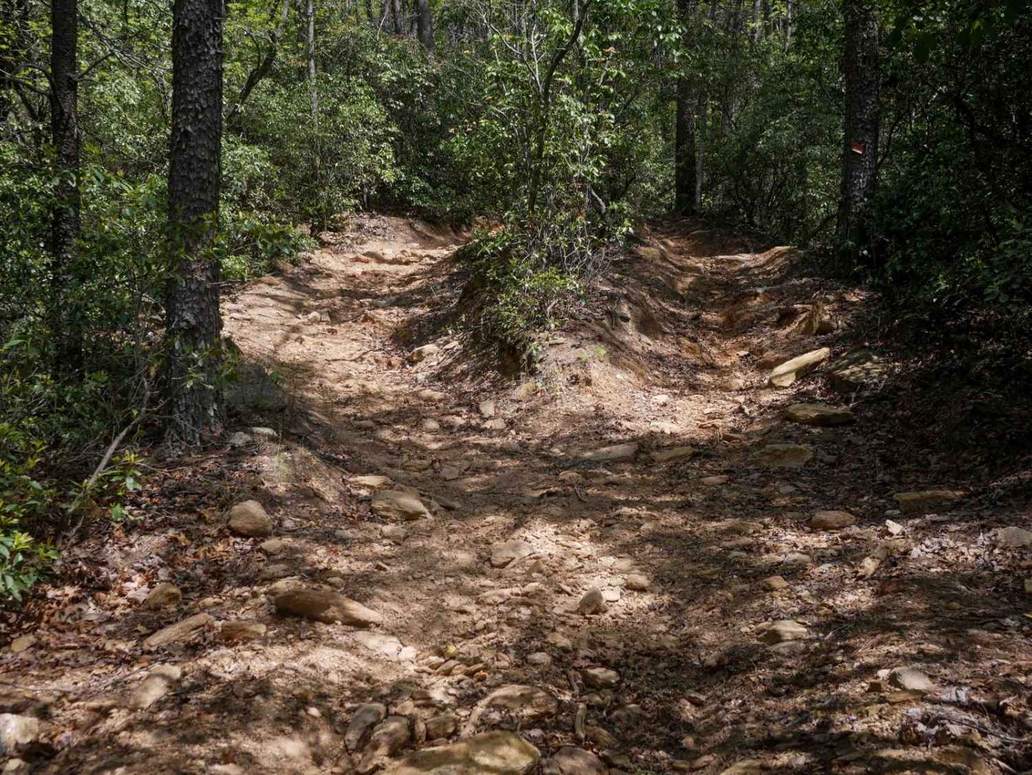 Ridge Top Trail C