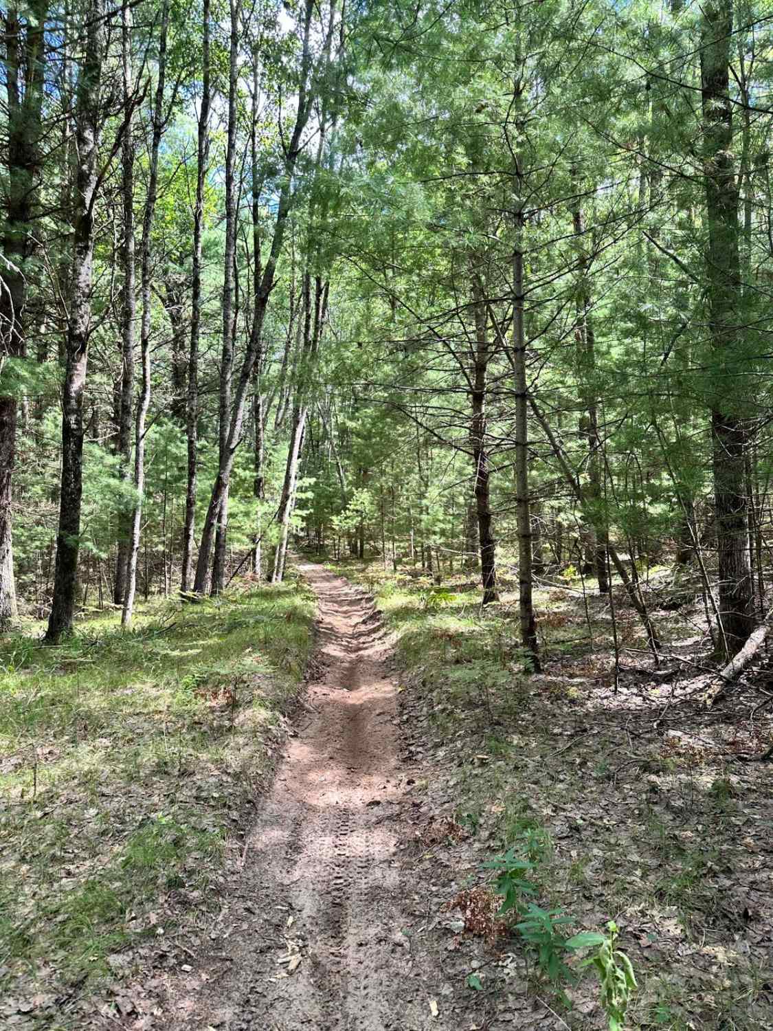Big O - East Motorcycle Trail