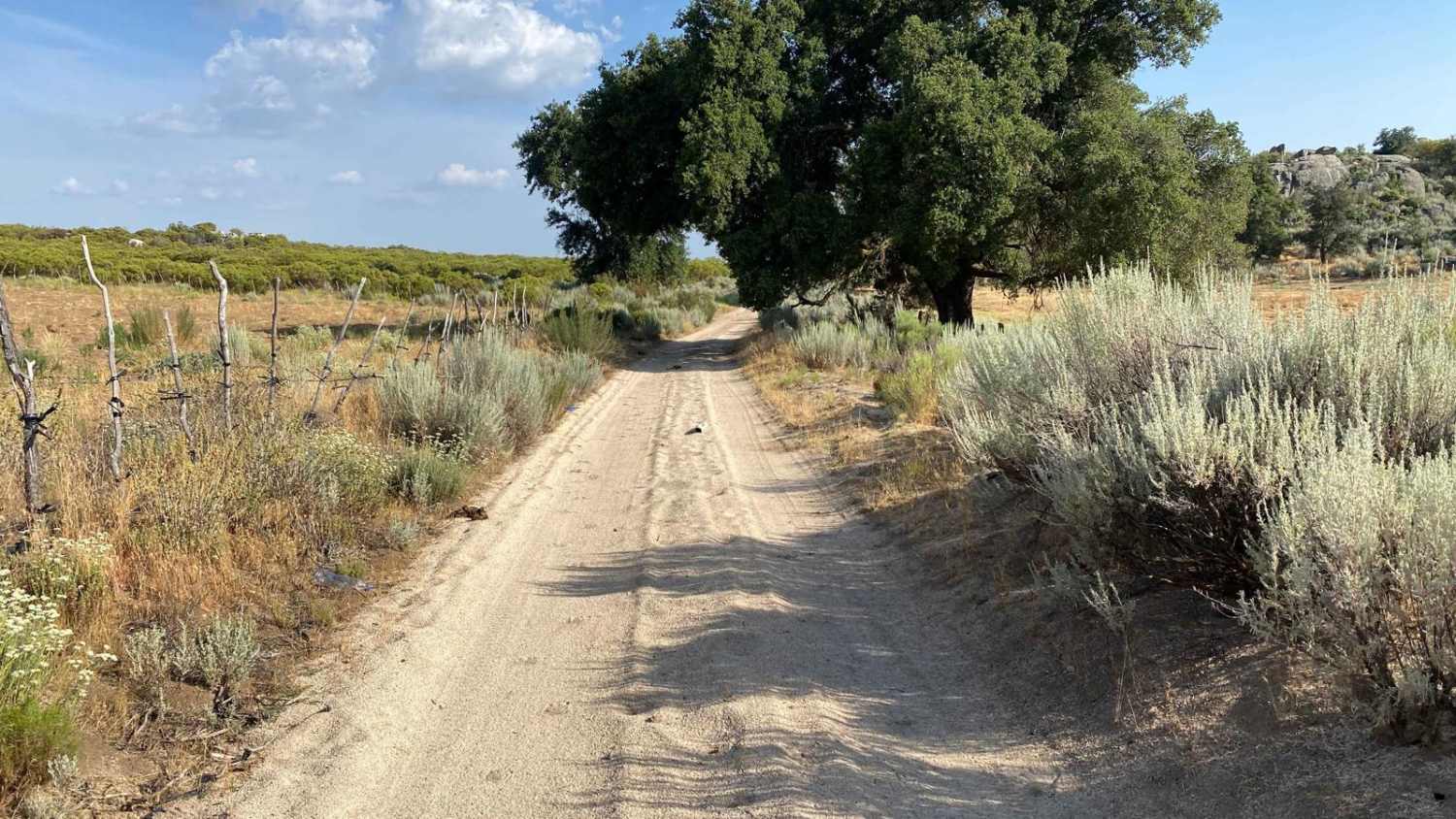 Camino La Laguna Hanson to Highway 3