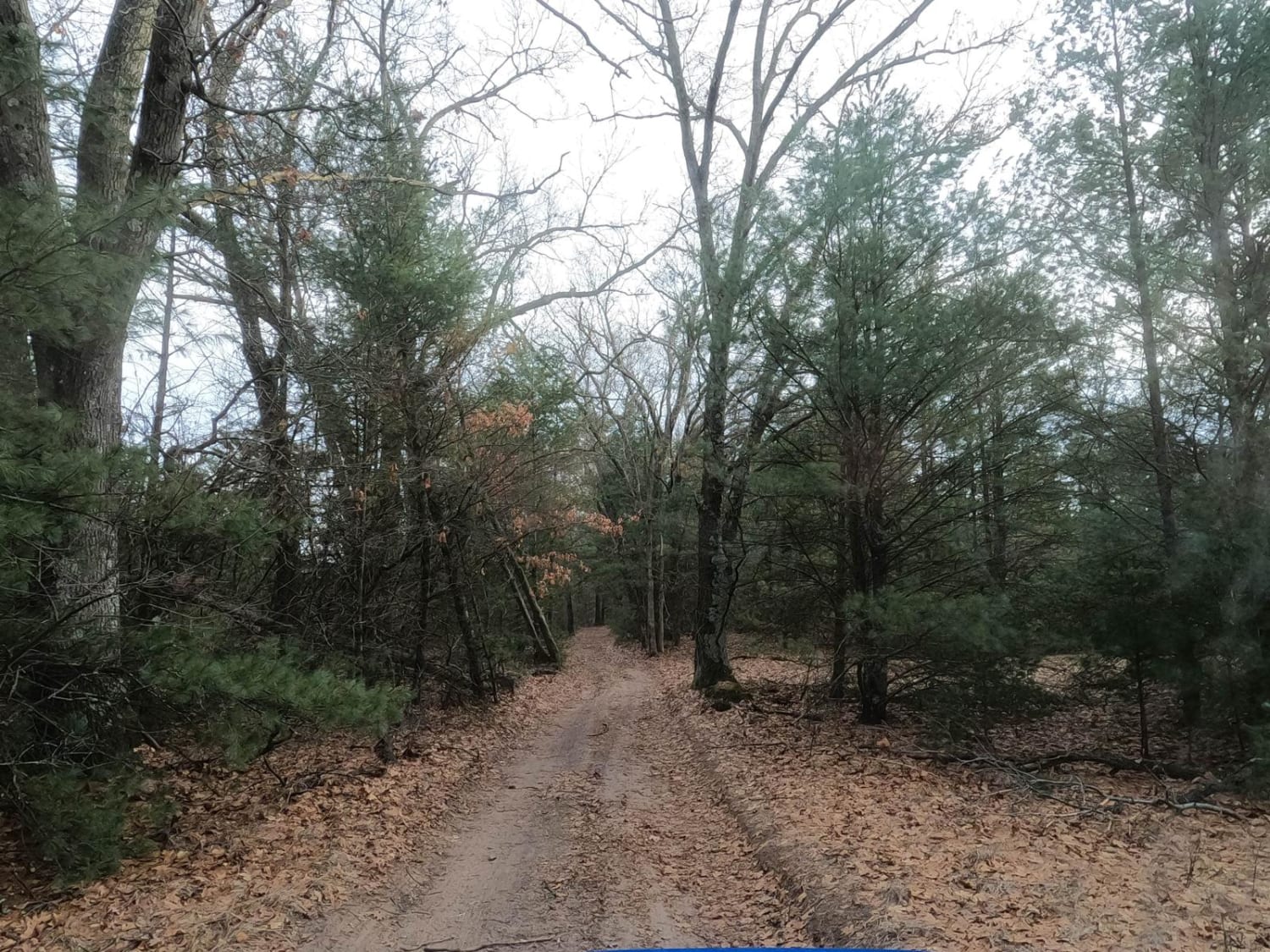 Dalson Road between Brunswick and Raymond Roads