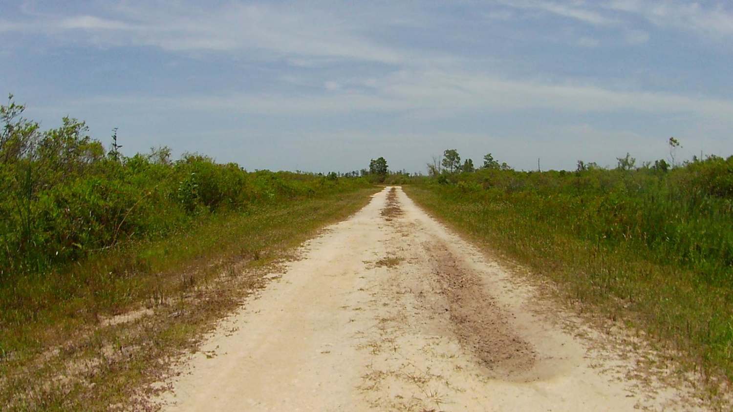 Sandy Road