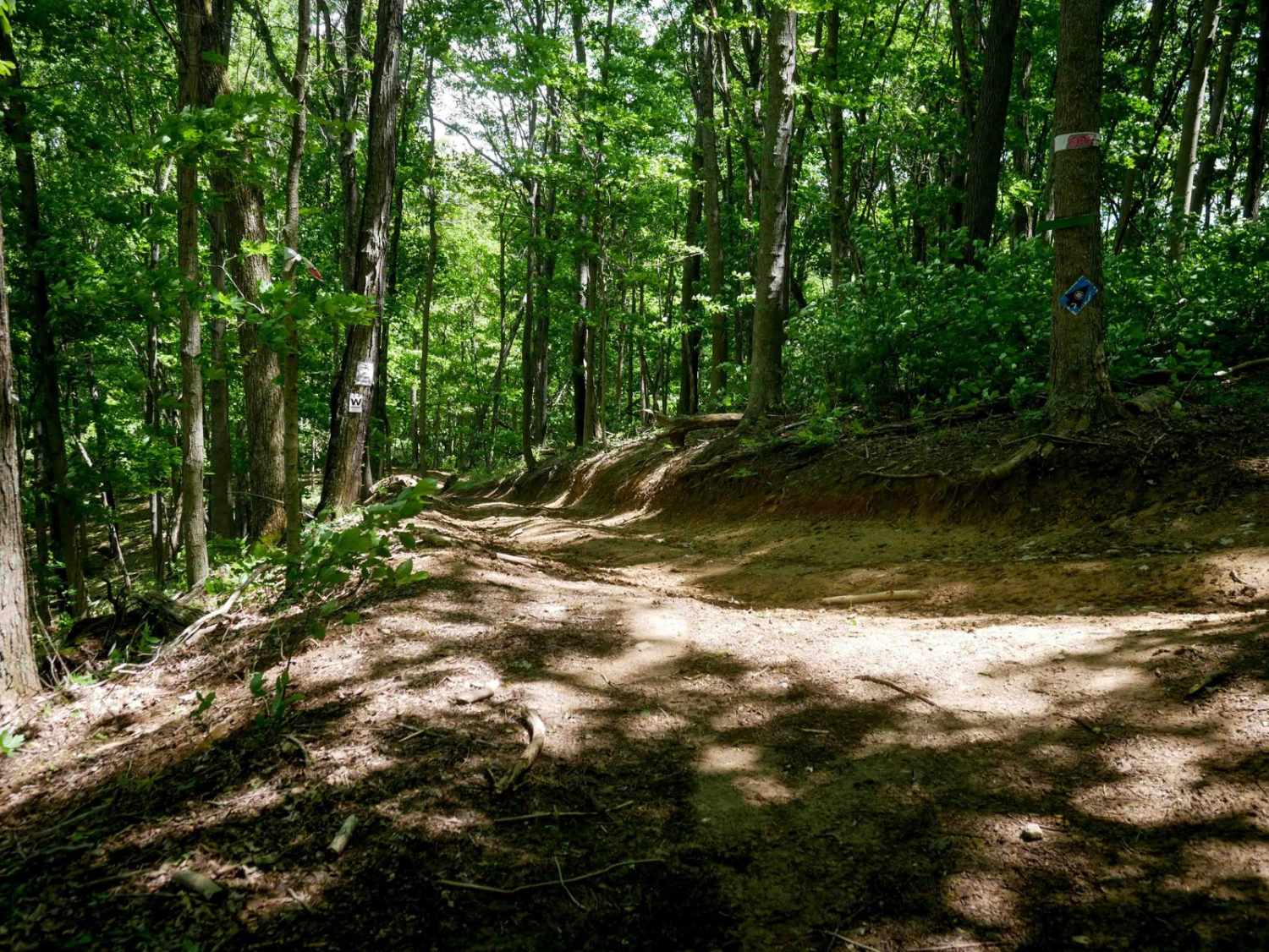 Trail 13