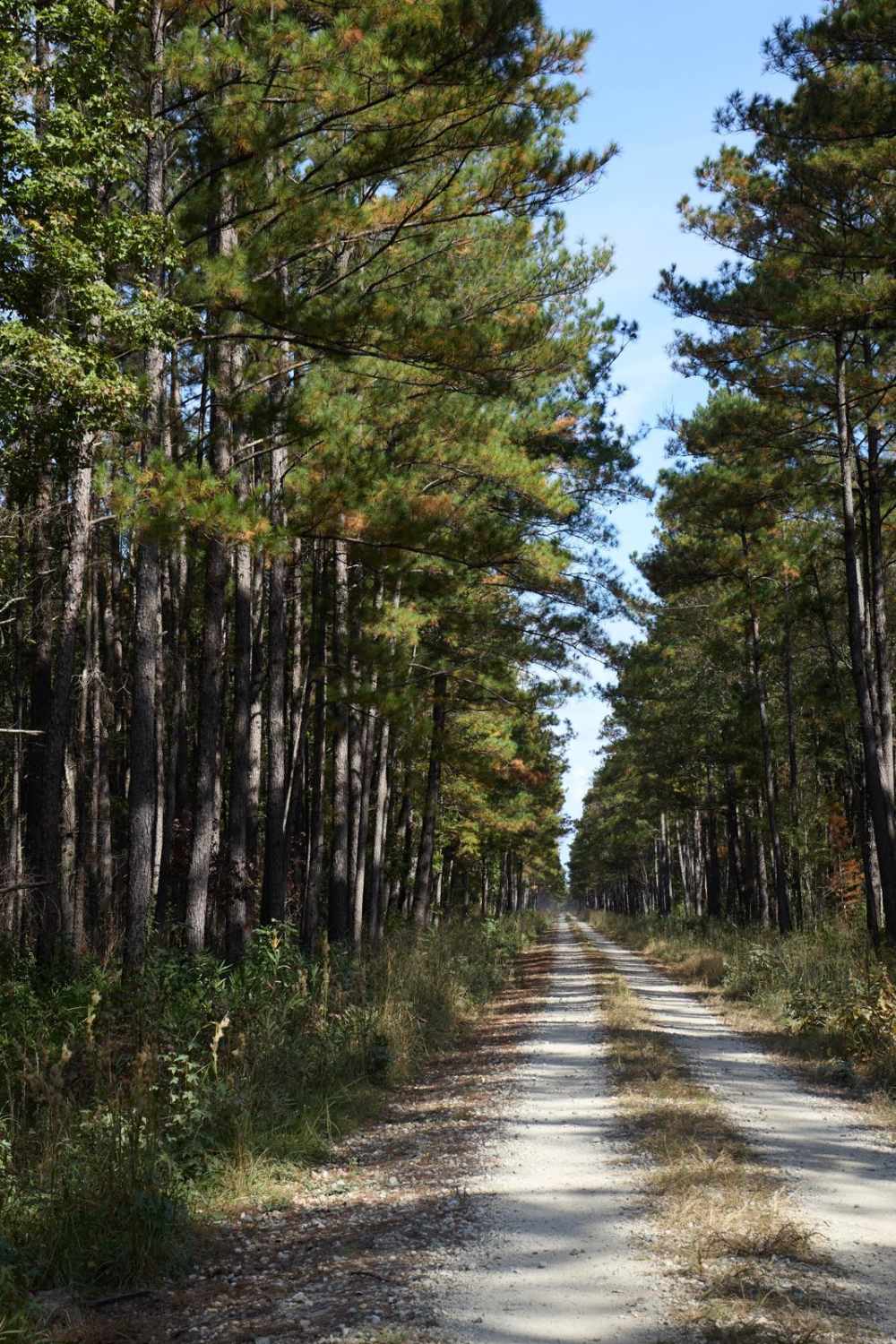 Farewell Corner Extension - FSR 161