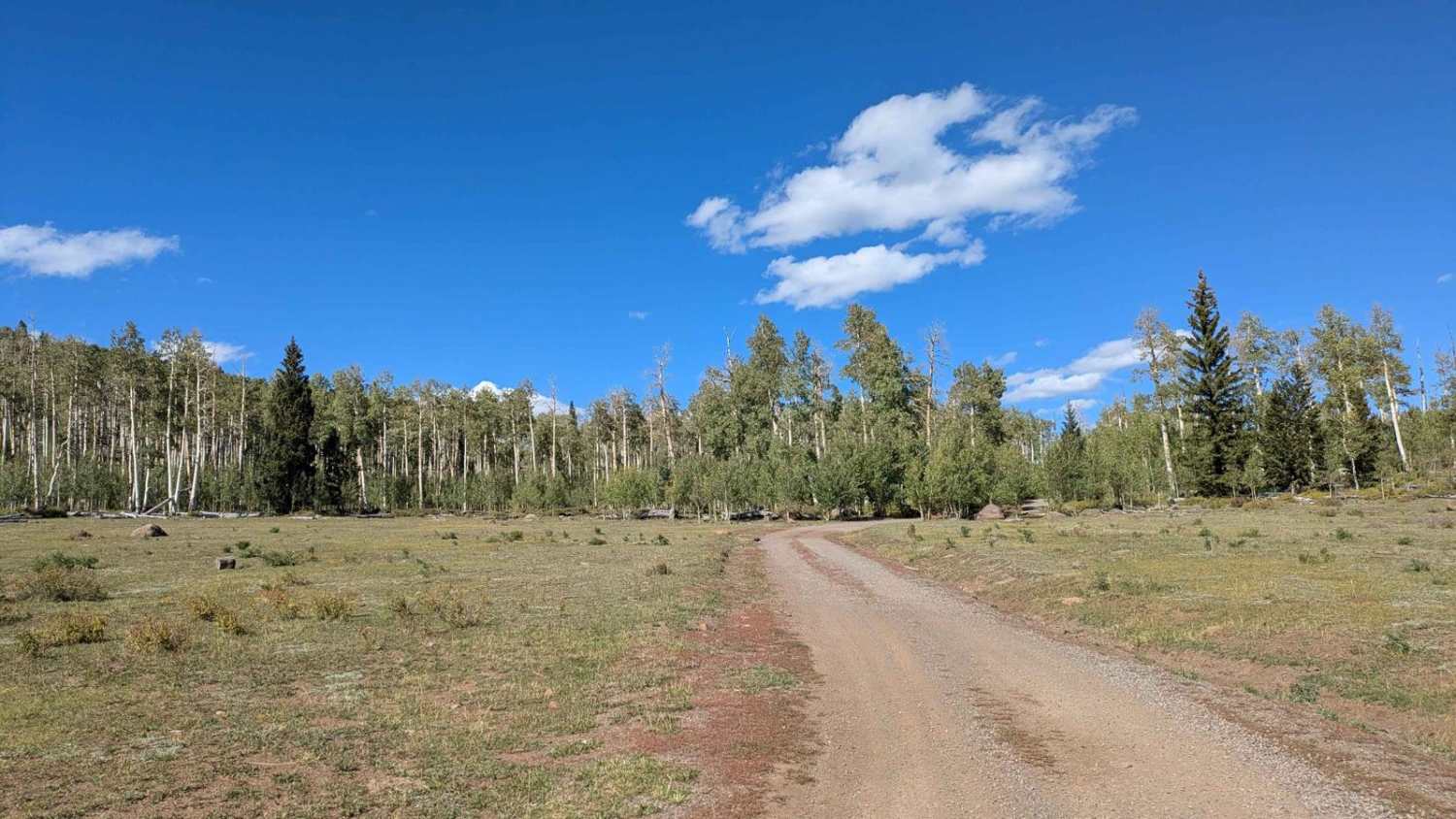Road Draw/Haws Pasture/Kings Pasture